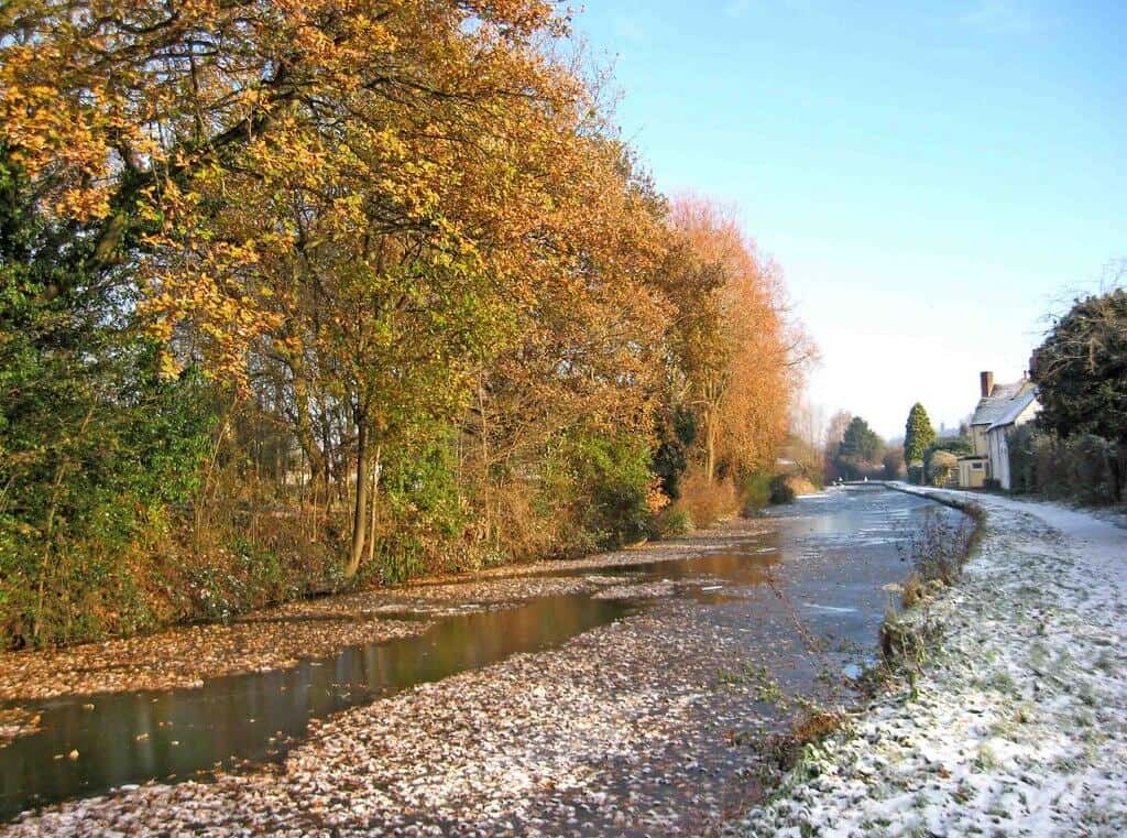 Staffordshire Worcestershire Canal with Crisp Autumn Leaves on the icy surface, and golden leaved trees on the left side in the background, while the ground on the right side is frosty.